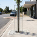 Round Steel Tree Guard 450–600mm Galvanised 1800mm Height